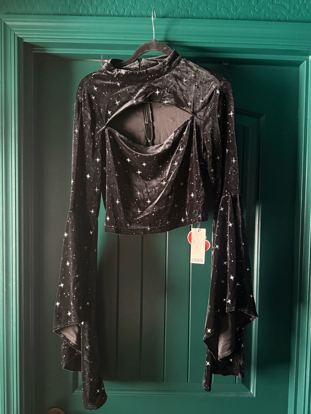 Cider Velvet Star Pattern Bell Sleeve Crop Top - Picture 12 of 12